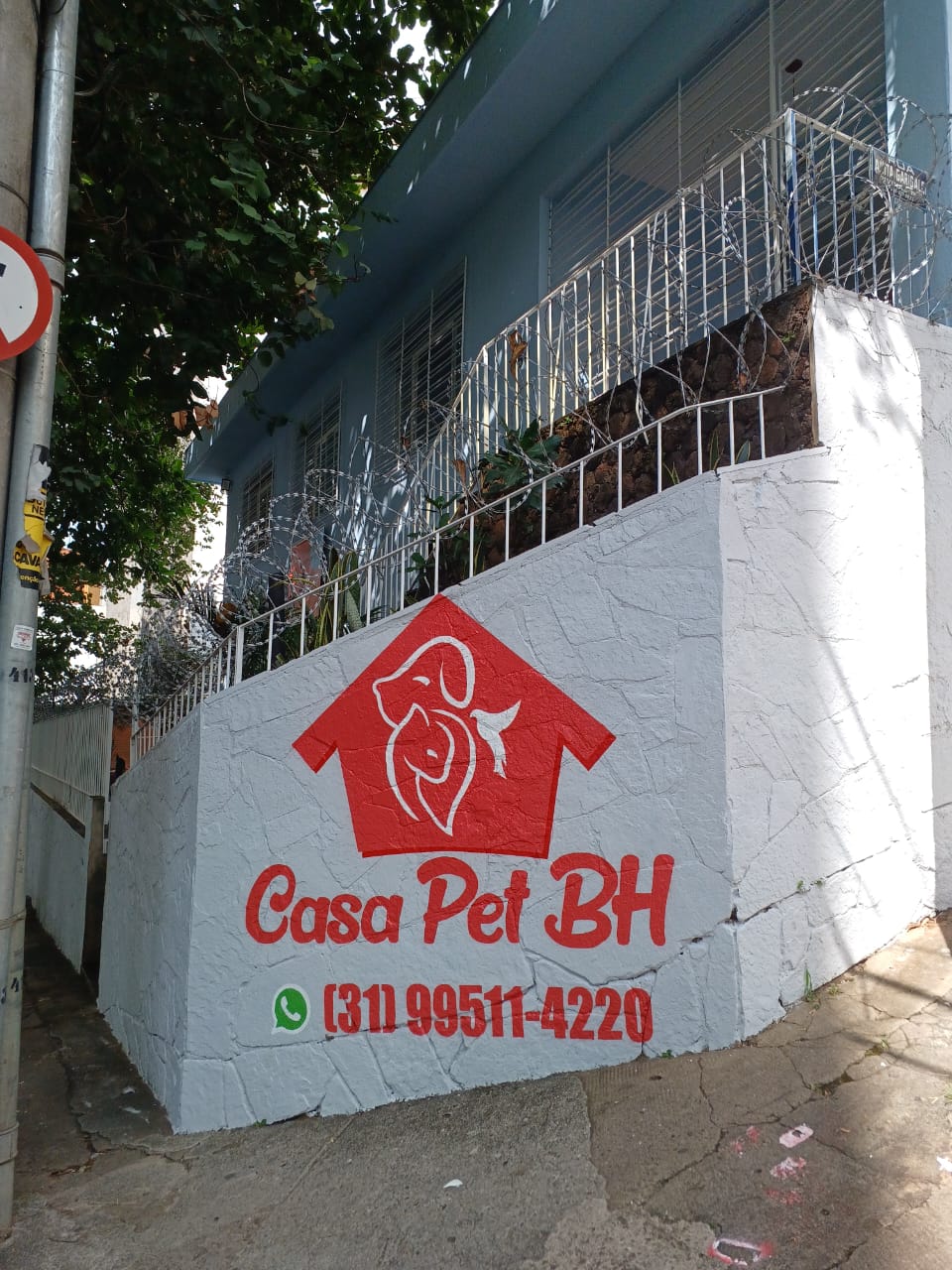 pet shop casa pet 1