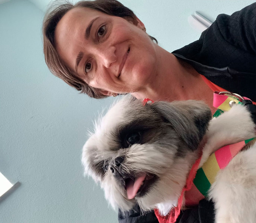 casa pet bh