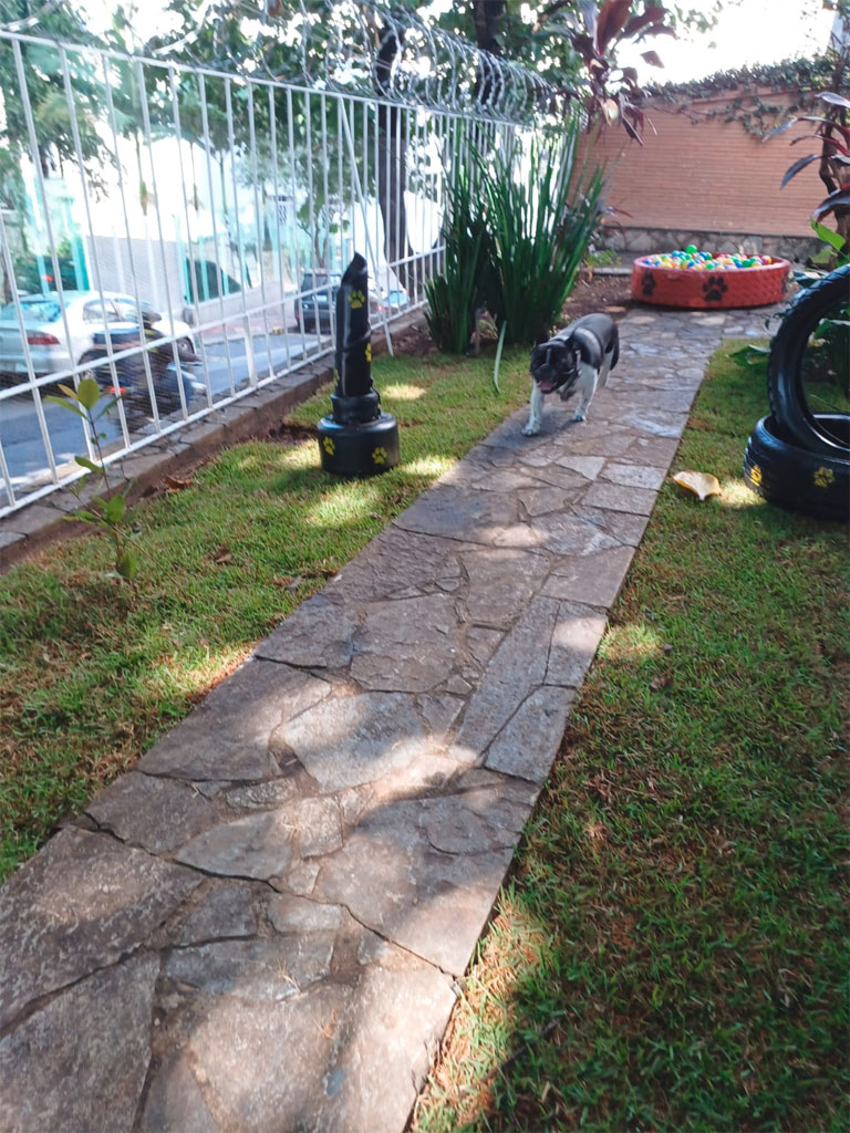 a-empresa-casa-pet-bh